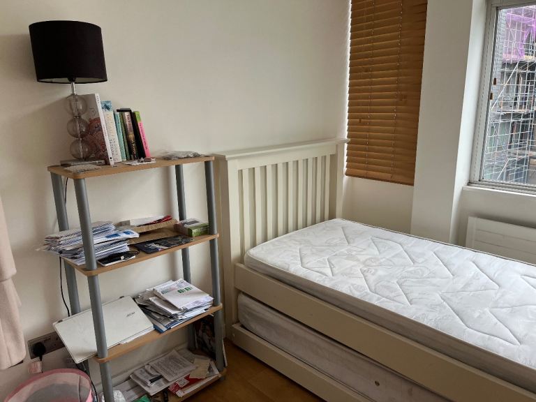 Bright single with own toilet in central London!