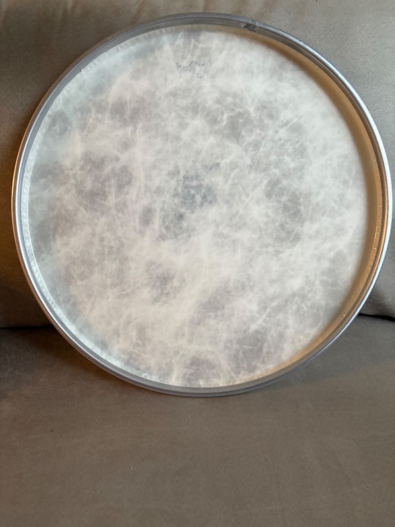 REMO - 18” Fiberskin 3 Ambassador Bass Drum Head
