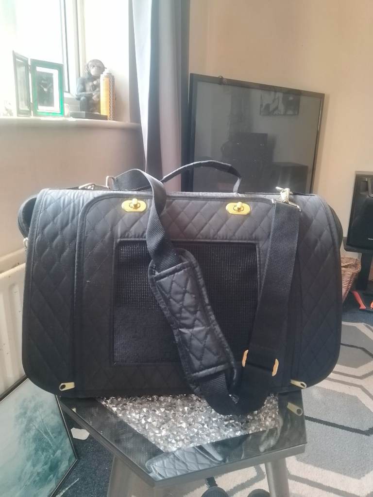 Small cat/kitten carrying bag