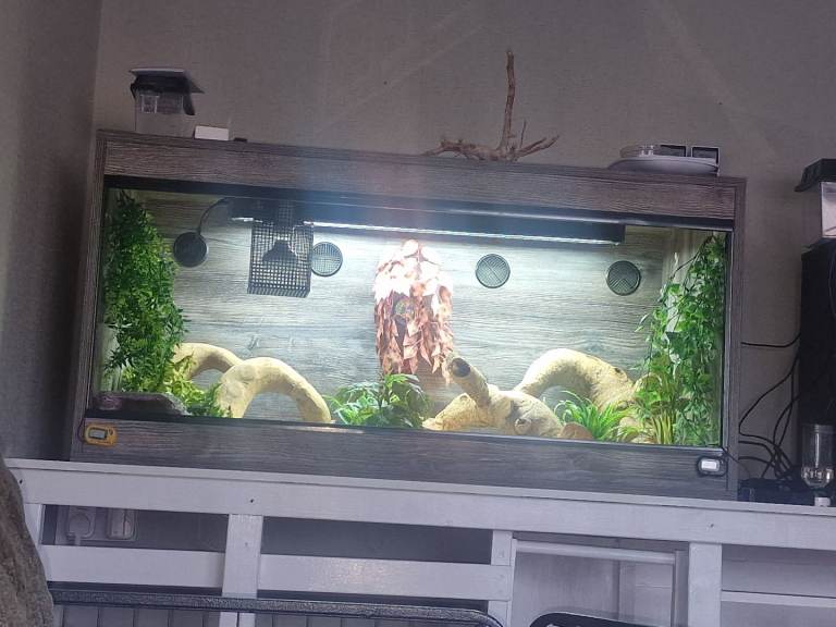 4x2x2 reptile enclosure 