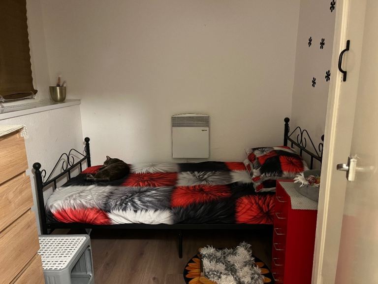 Single room for rent