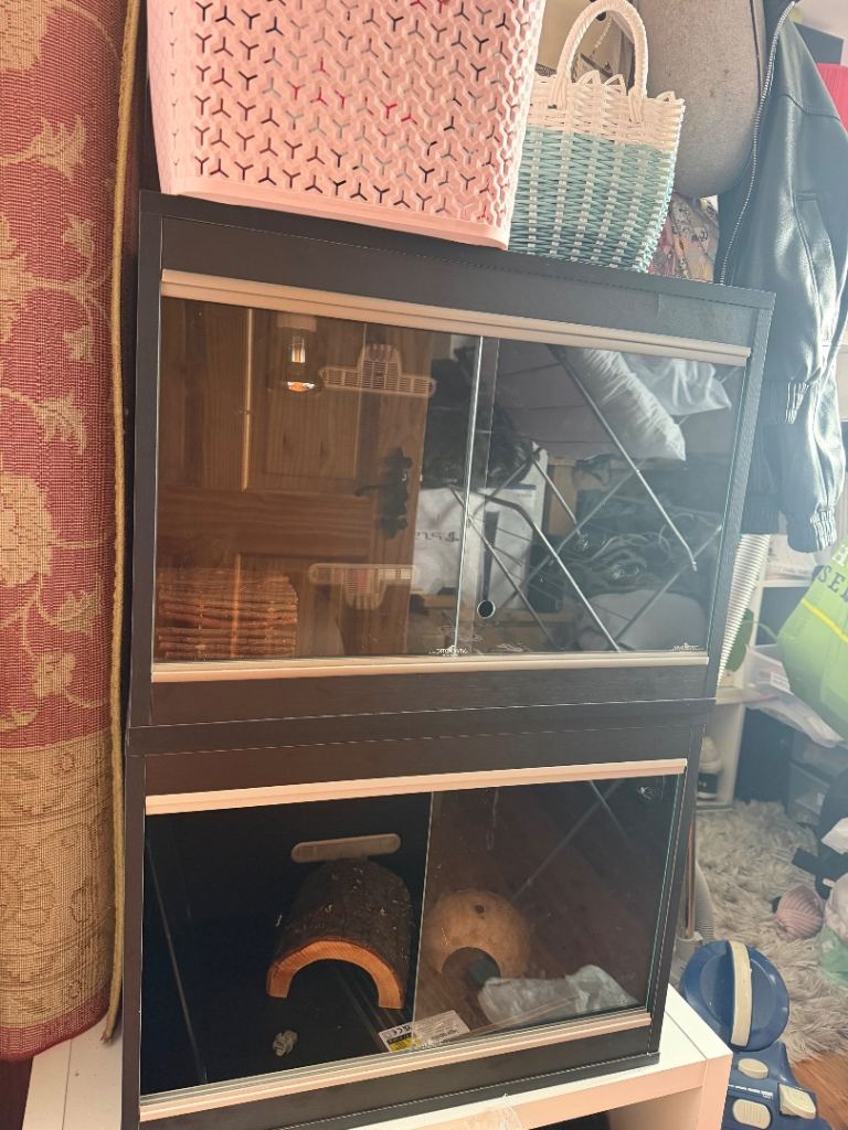 Reptile enclosure
