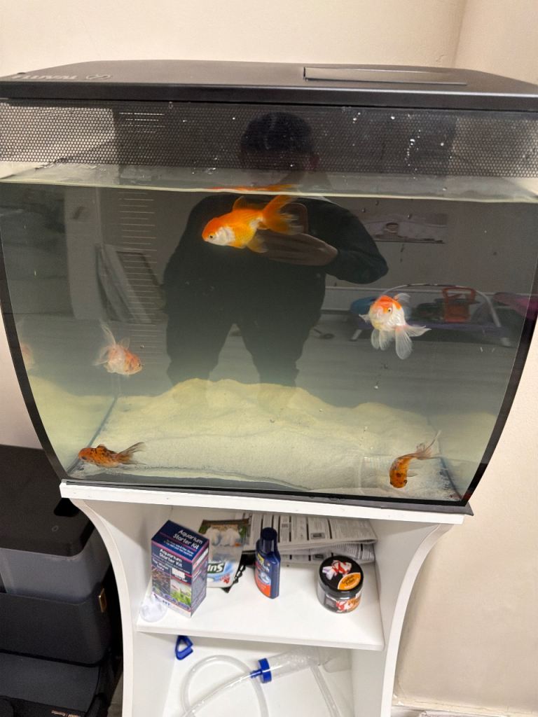 Good Condition Fish Tank Aquarium with White Stand