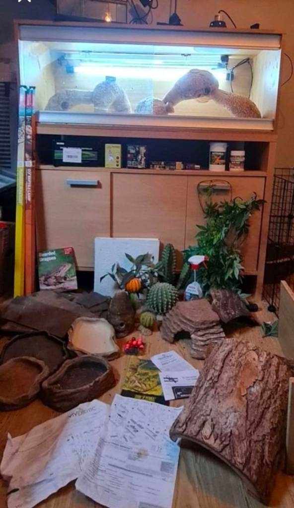 Vivarium bundle 
