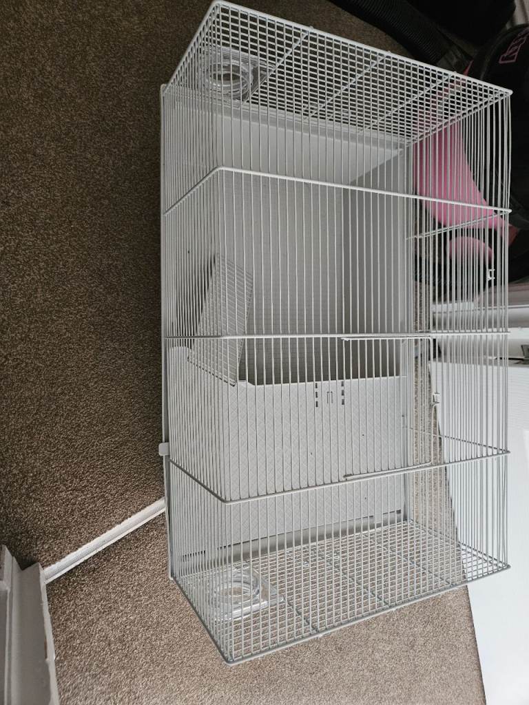 One dawrf hamster and one normal cage