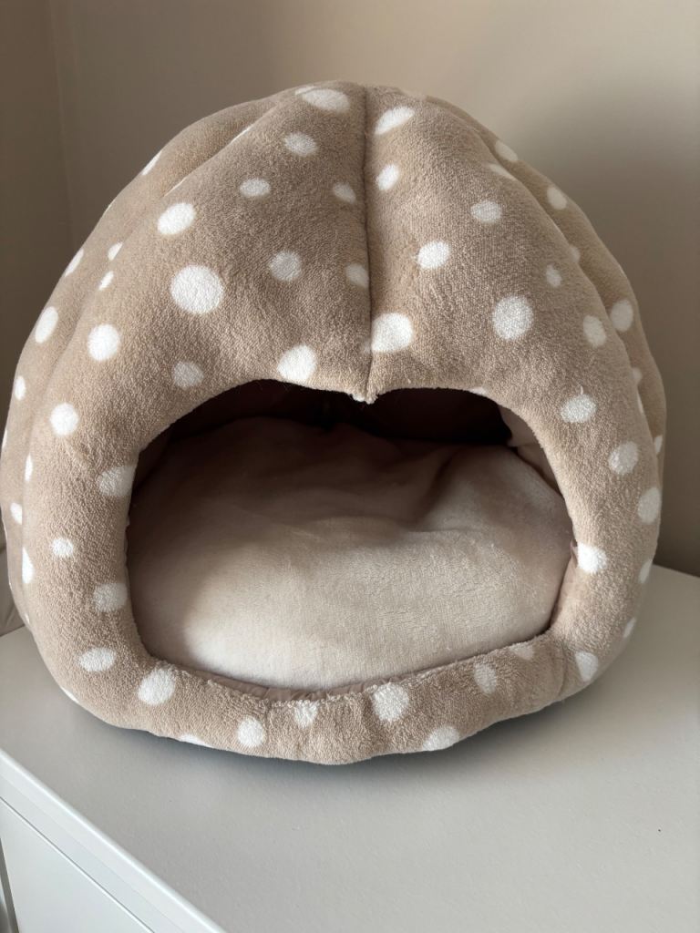 Spotty Igloo Kitten Bed