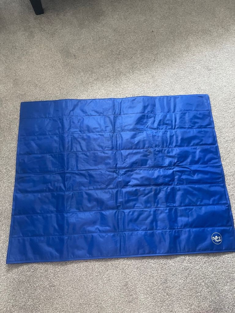 Dog cooling mat