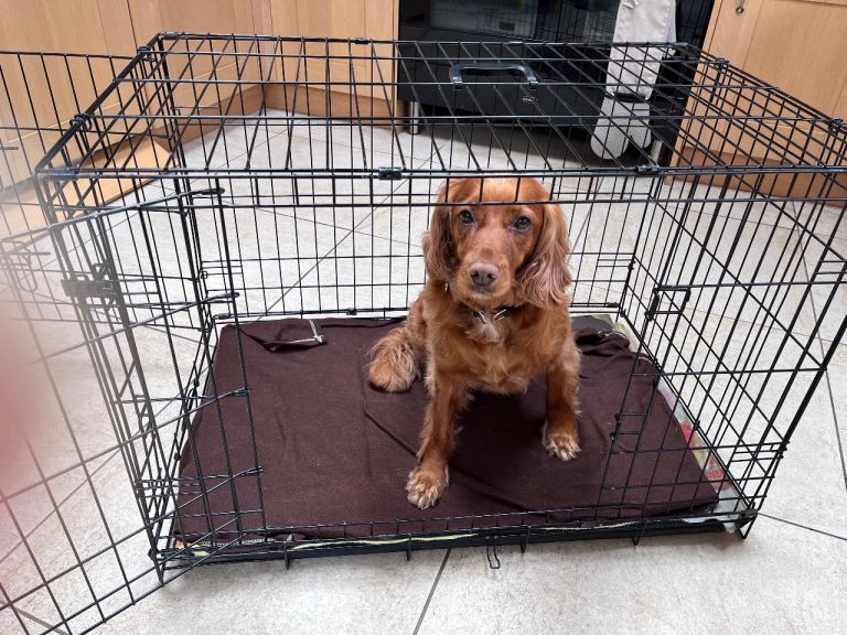 Dog crate approx 90cm x 57cm (double doors) 