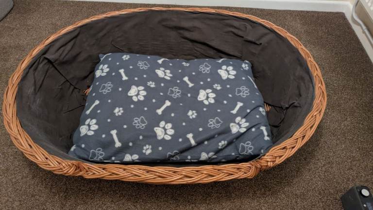 Large dog bed