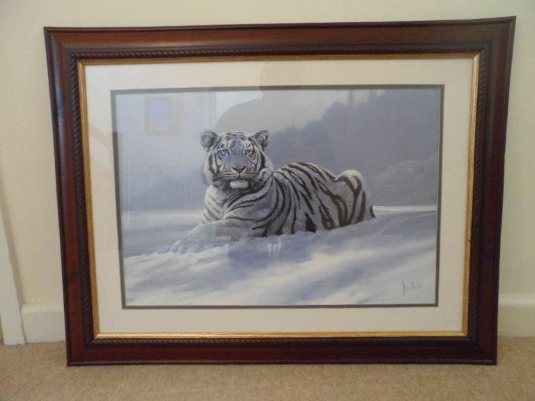 Tiger Print