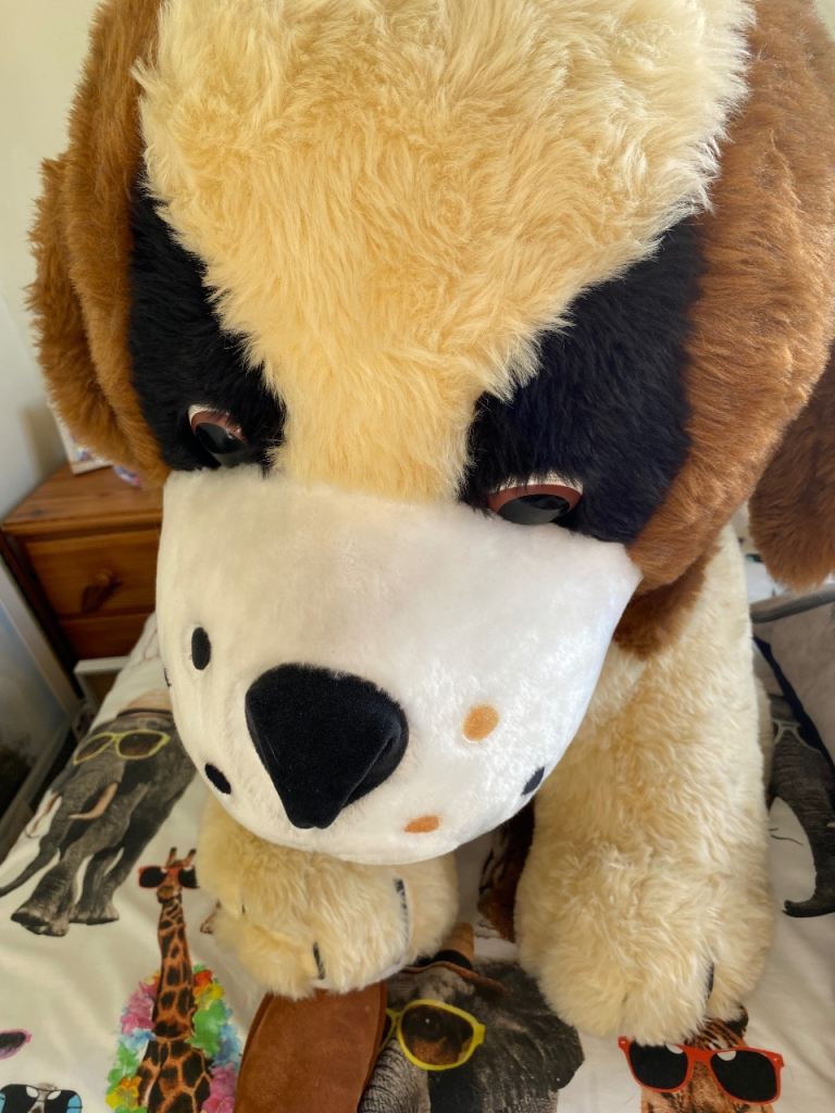 image for Fluffy dog