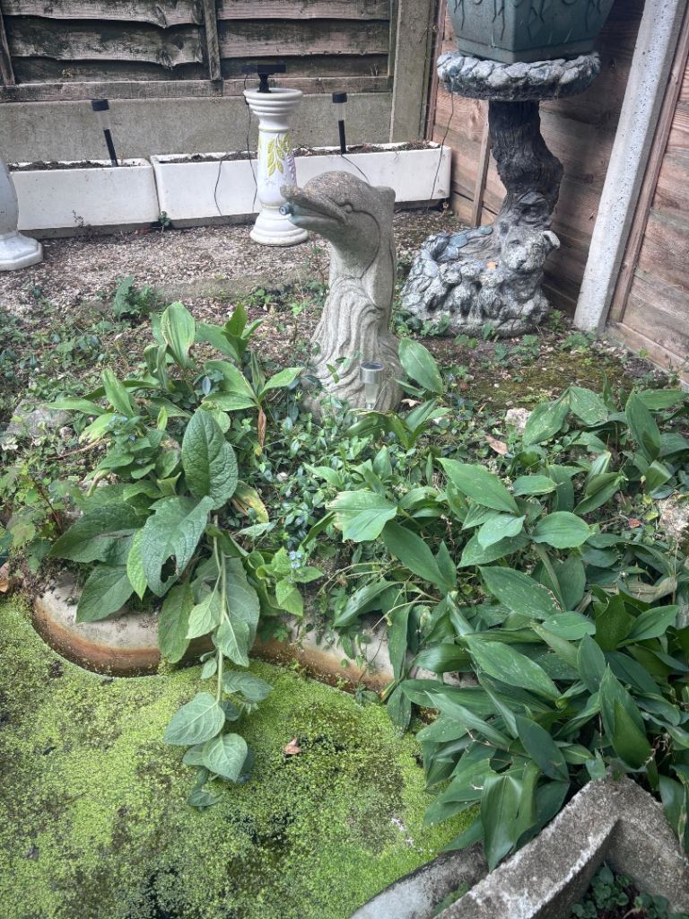 Stone Dolphin Head Garden Ornament / Pond Feature