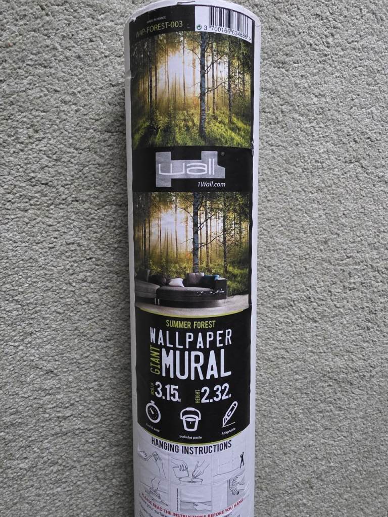 Wall murial