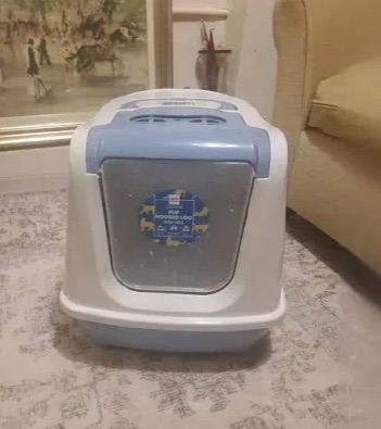 Cat toilet 
