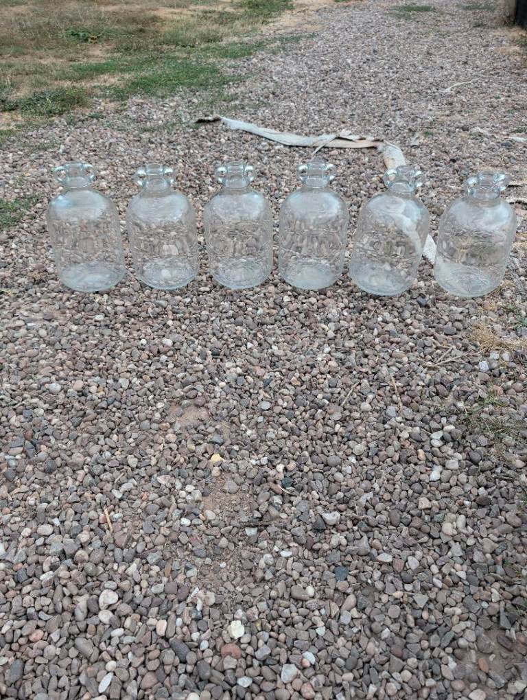 Six 1-Gallon Glass Demijohns – Traditional Twin-Handle – Wine/Cider Making