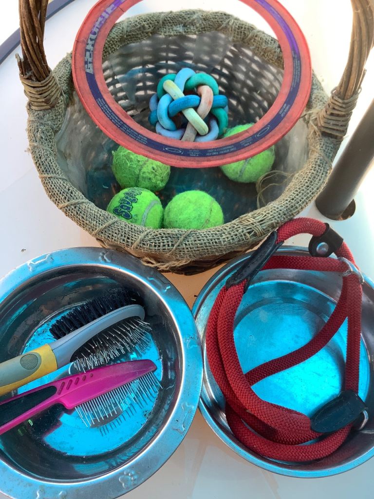Dogs lead, bowls, brush & toys.