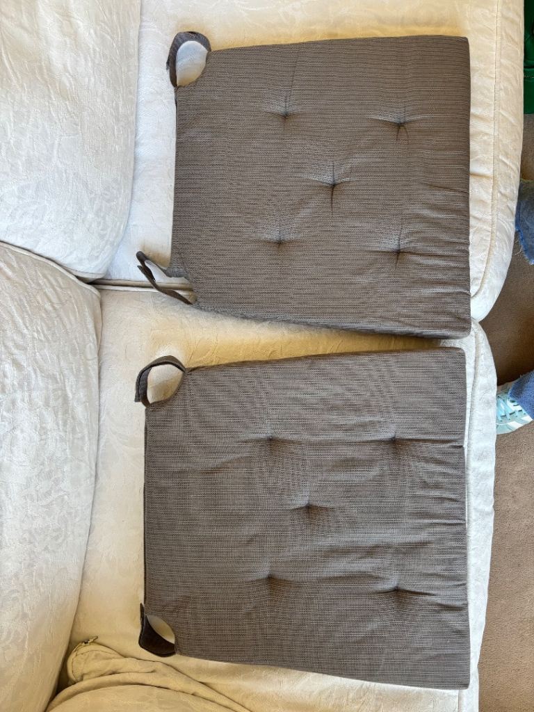 2 chair cushions 