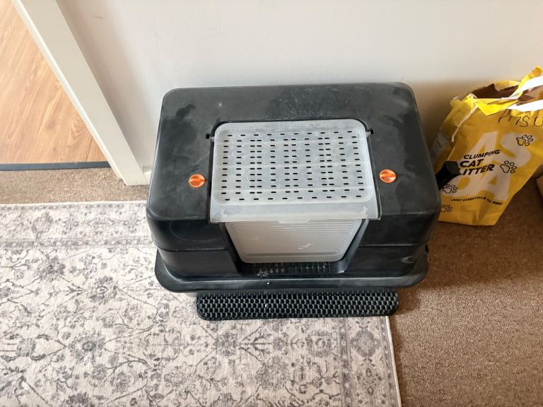 Cat litter 