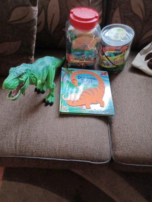Dinosaur toy bundle: Like new 