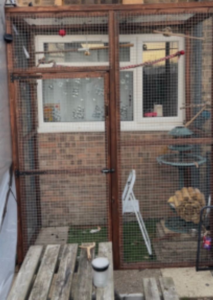 Aviary / catio
