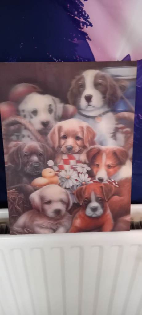 3D holographic dog picture 