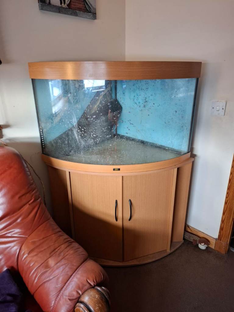 Fish tank