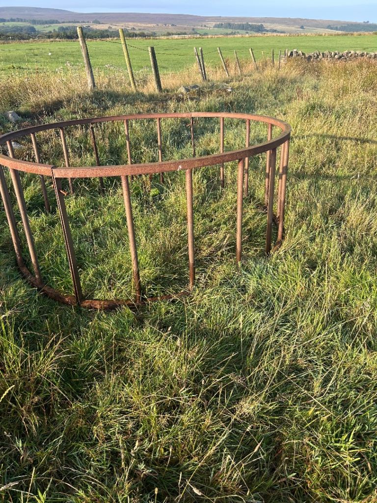Cattle feeding ring 