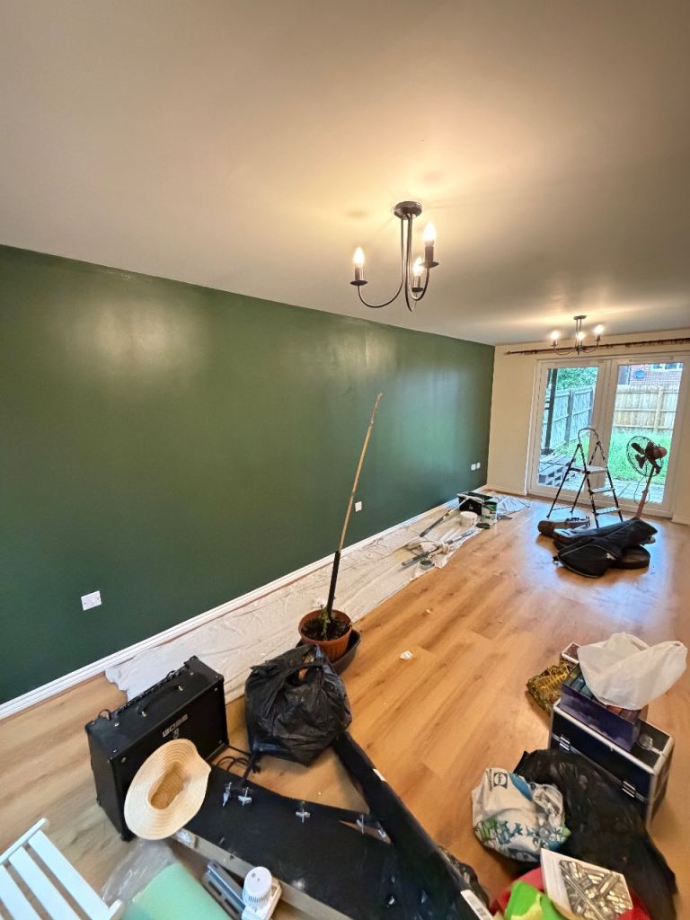 Darius Painting & Decorating 
