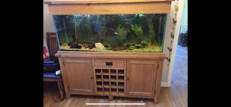 5ft Solid Oak wine rack marine tropical fish tank aquarium setup delivery🚚