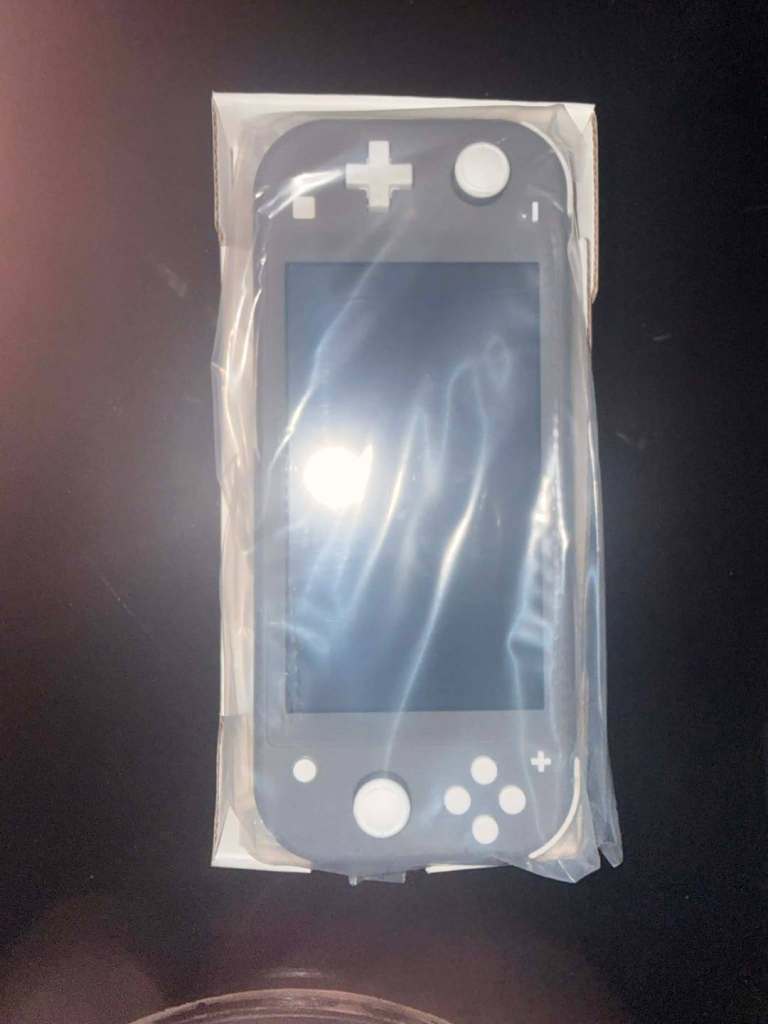 image for Nintendo  switch lite