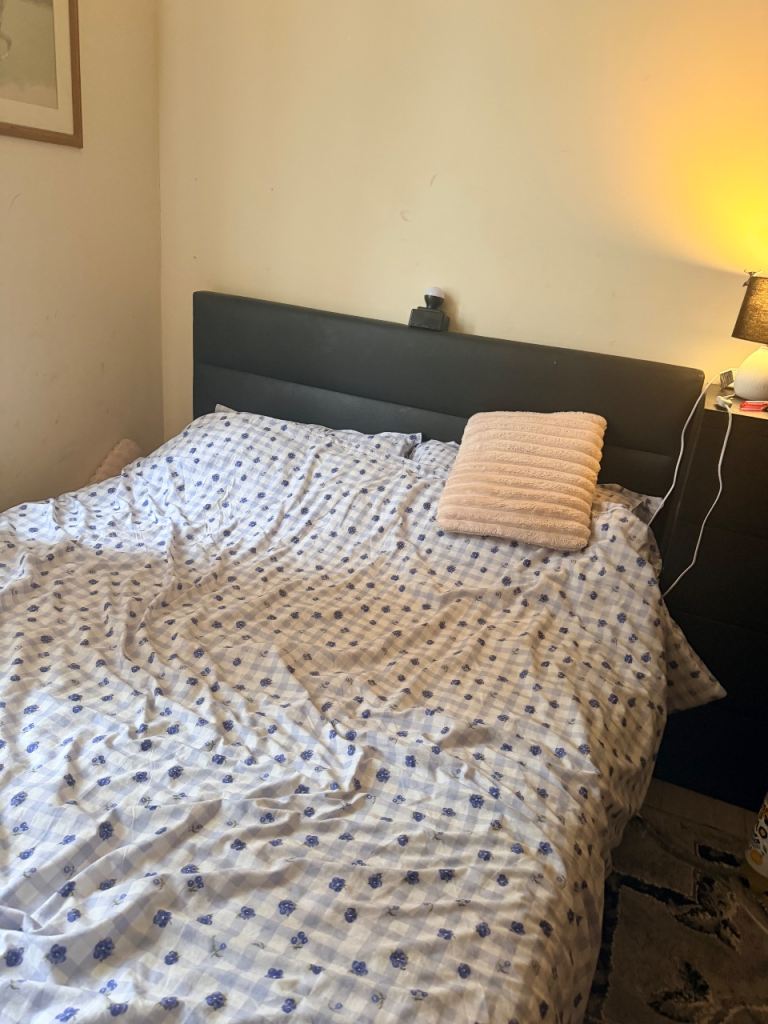 King size tv bed 