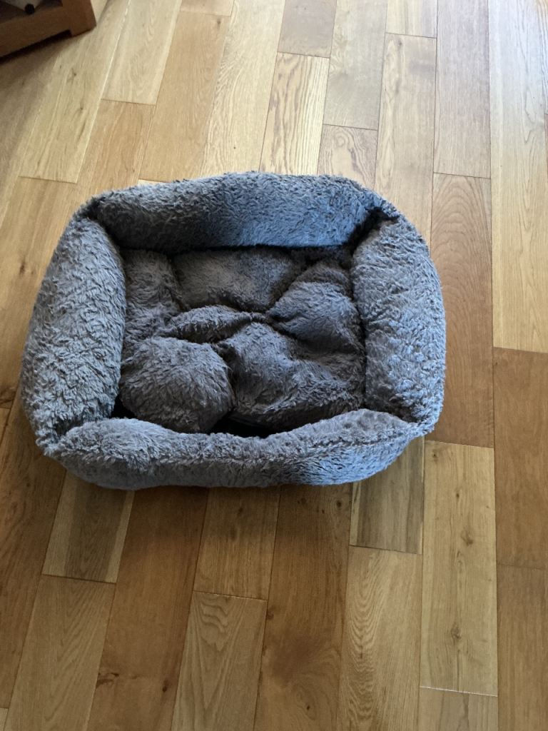 Dog bed 