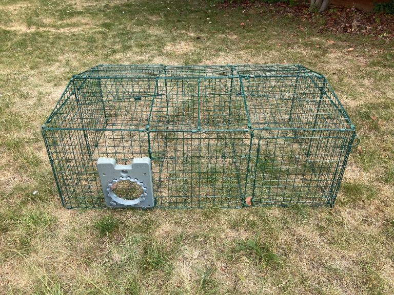 Rabbit run 