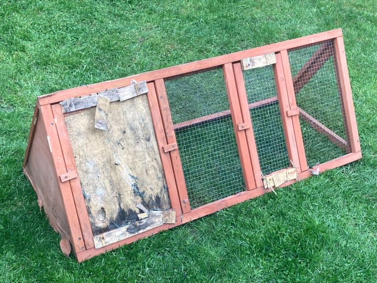 Free - Guinea Pig Run - Free