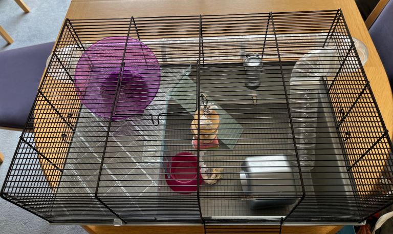 Hamster or mouse large wire home