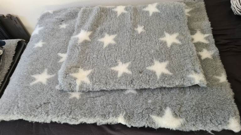 Vet bed