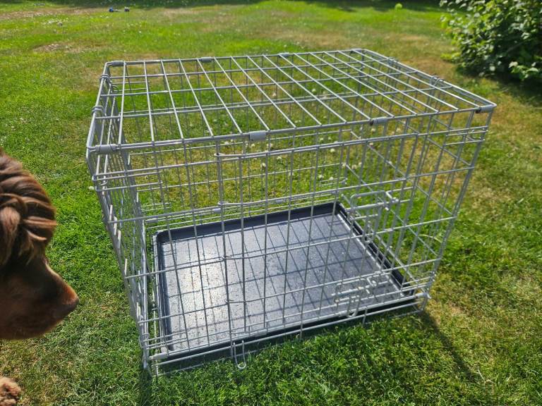 Small Dog Crate