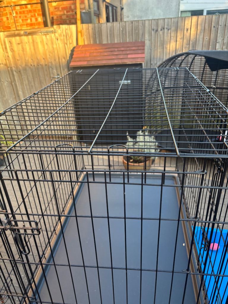Xl dog crate 