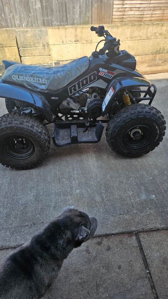 Quadzilla Ram r 100 