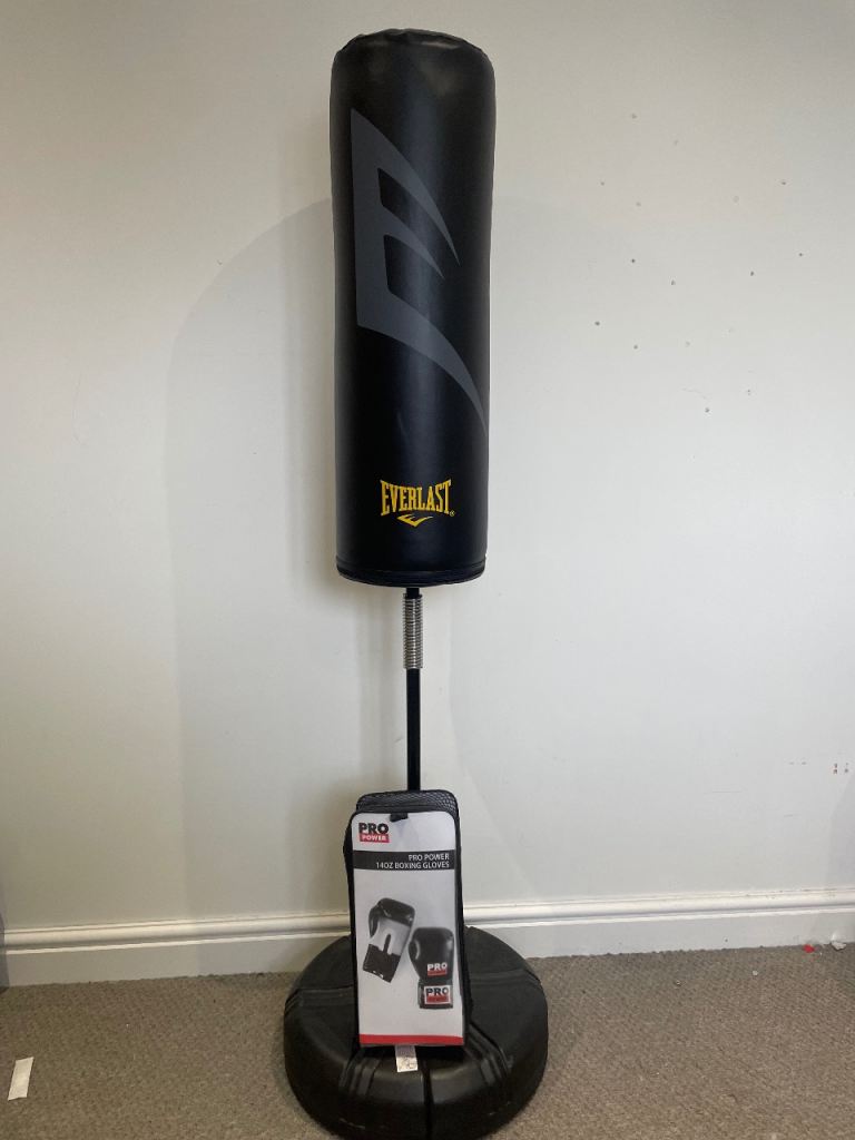 Punching bag and Gloves set