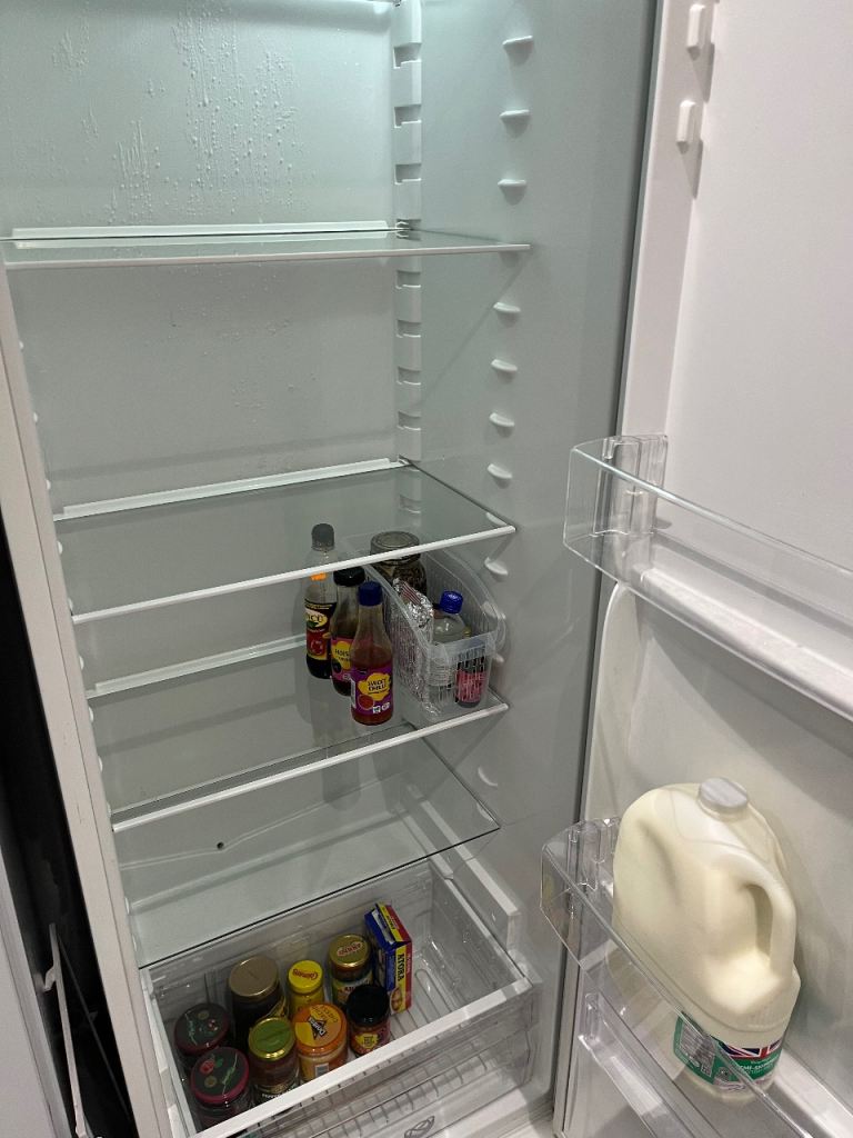 Zanussi tall fridge 