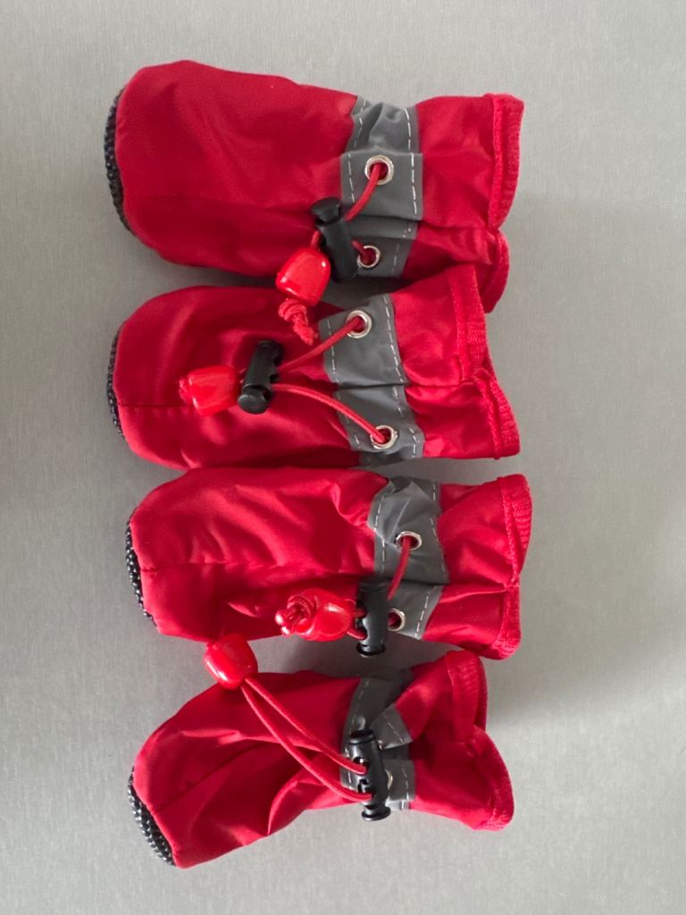 Dog boots