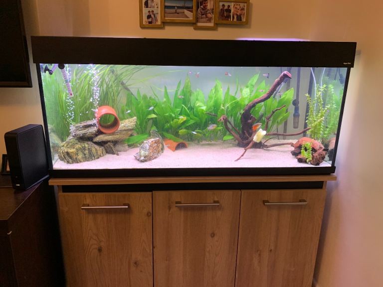 245L AquaOne Aquarium Bundle