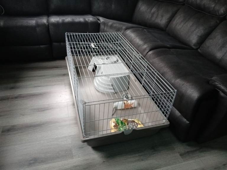 Animal cage 