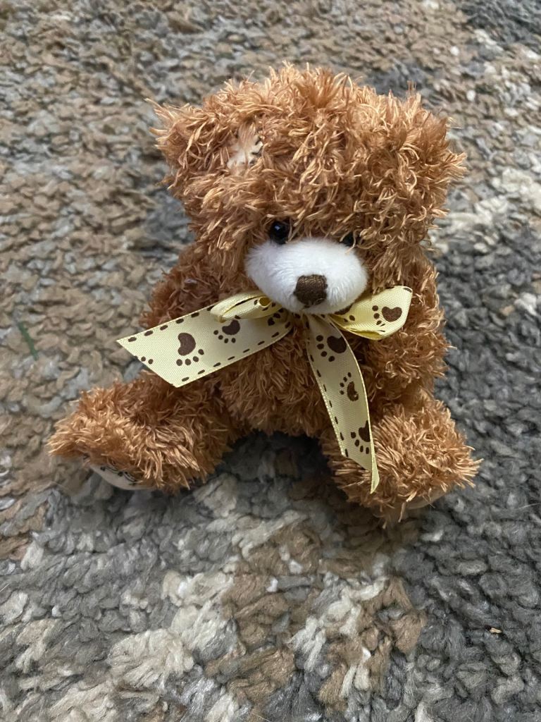 Brand new teddy bear. Approx 4” high. Very cute. £3.