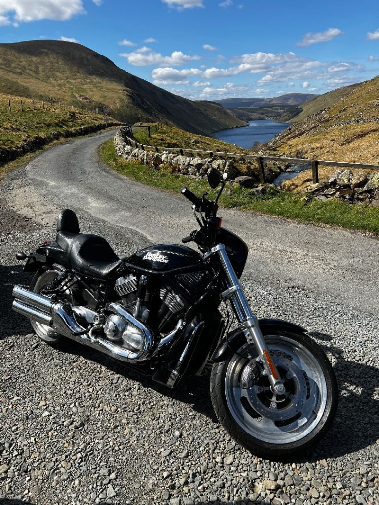 Harley-Davidson, VRSCD NIGHT ROD, 2006, 1131 (cc)