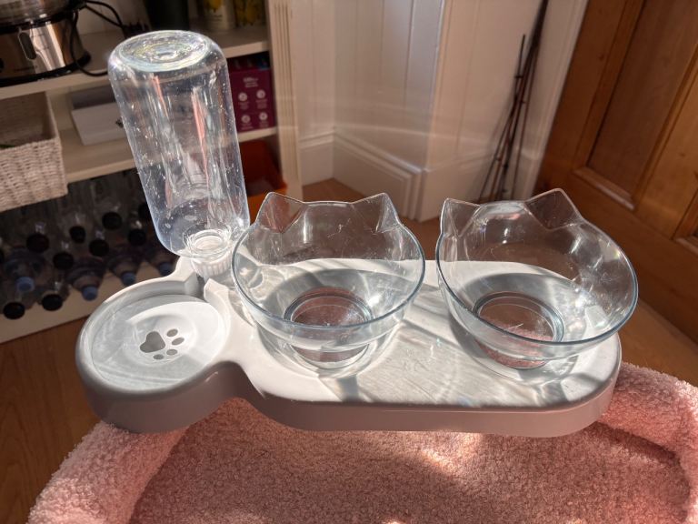 Cat feeding set 