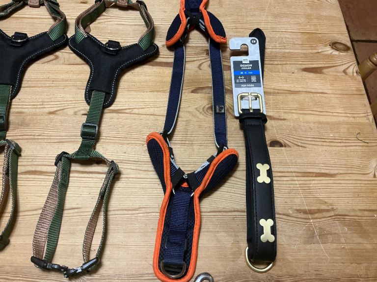 Puppy leather collars, 3 peaks training harnesses, collars and leads