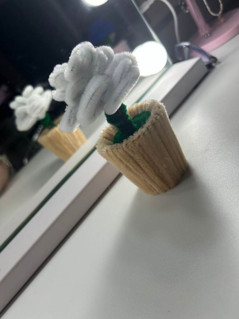 White rose plant pot