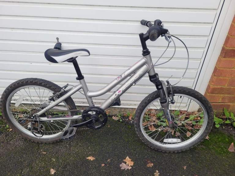 image for Silver Ridgeback Harmony